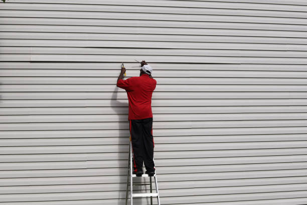 Best Fascia and Soffit Installation  in Newton, IA